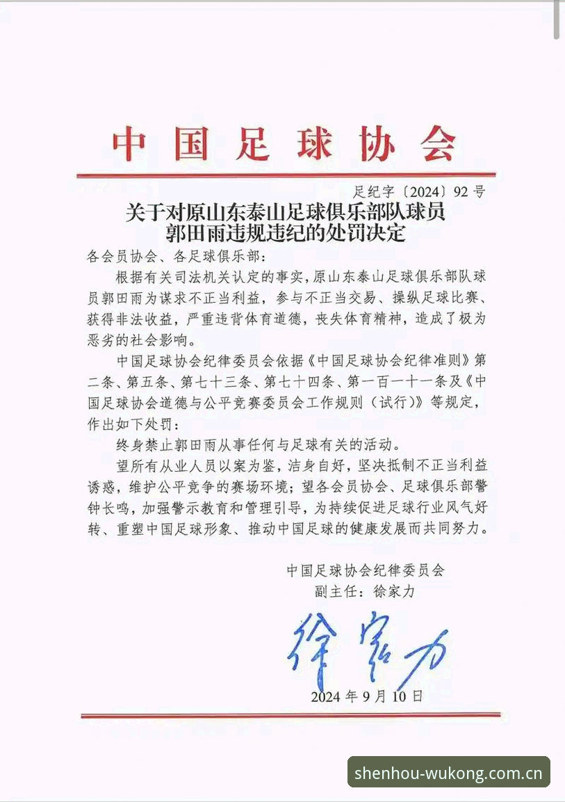 悟空体育功能介绍 足协第三批禁足名单深度解析:从违规案例看中国足球行业整治完整指南