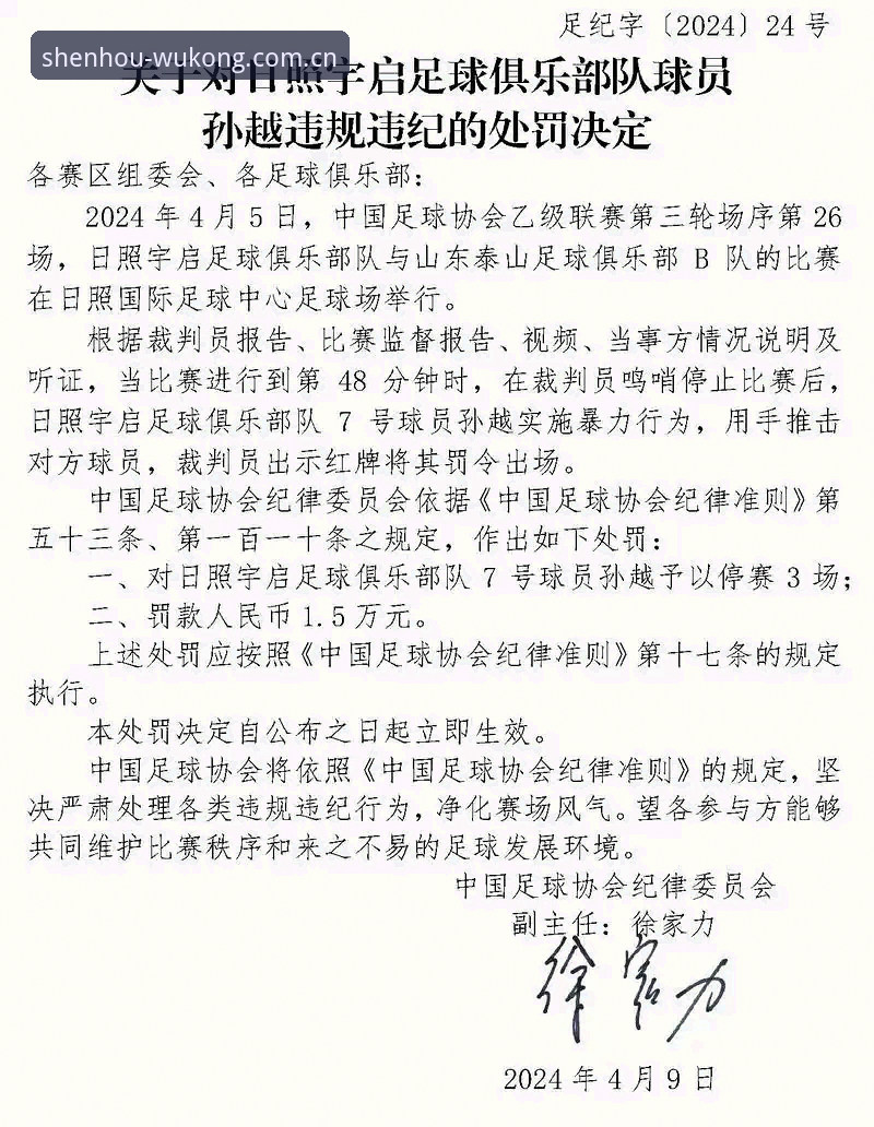 悟空体育功能介绍 足协第三批禁足名单深度解析:从违规案例看中国足球行业整治完整指南